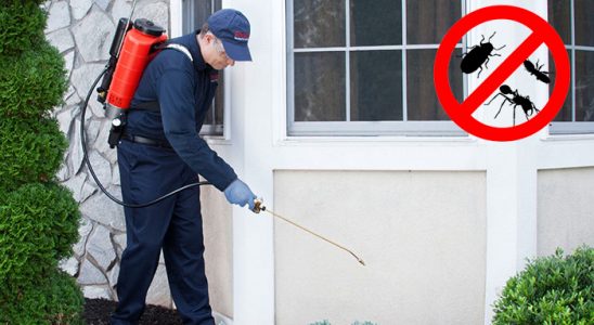 Ereğli Böcek İlaçlama böcek ilaçlama ve haşere kontrolü — ilaclama-tr.com